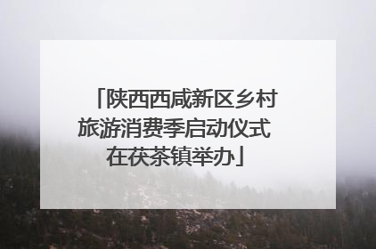 陕西西咸新区乡村旅游消费季启动仪式在茯茶镇举办